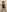 lucie_mehott Arrache ma nuisette Pic 5