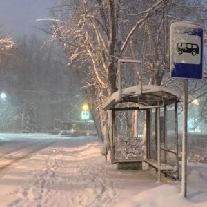 show vibe here de HollyGibson  Imagens