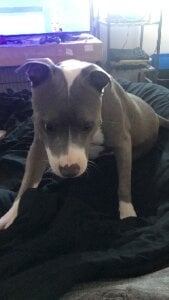 bottombeargaming THE ONLY WOMAN FOR ME Pic 9