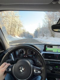 Lcs250's webcam live show