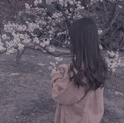 mi-ki1314 - new asian