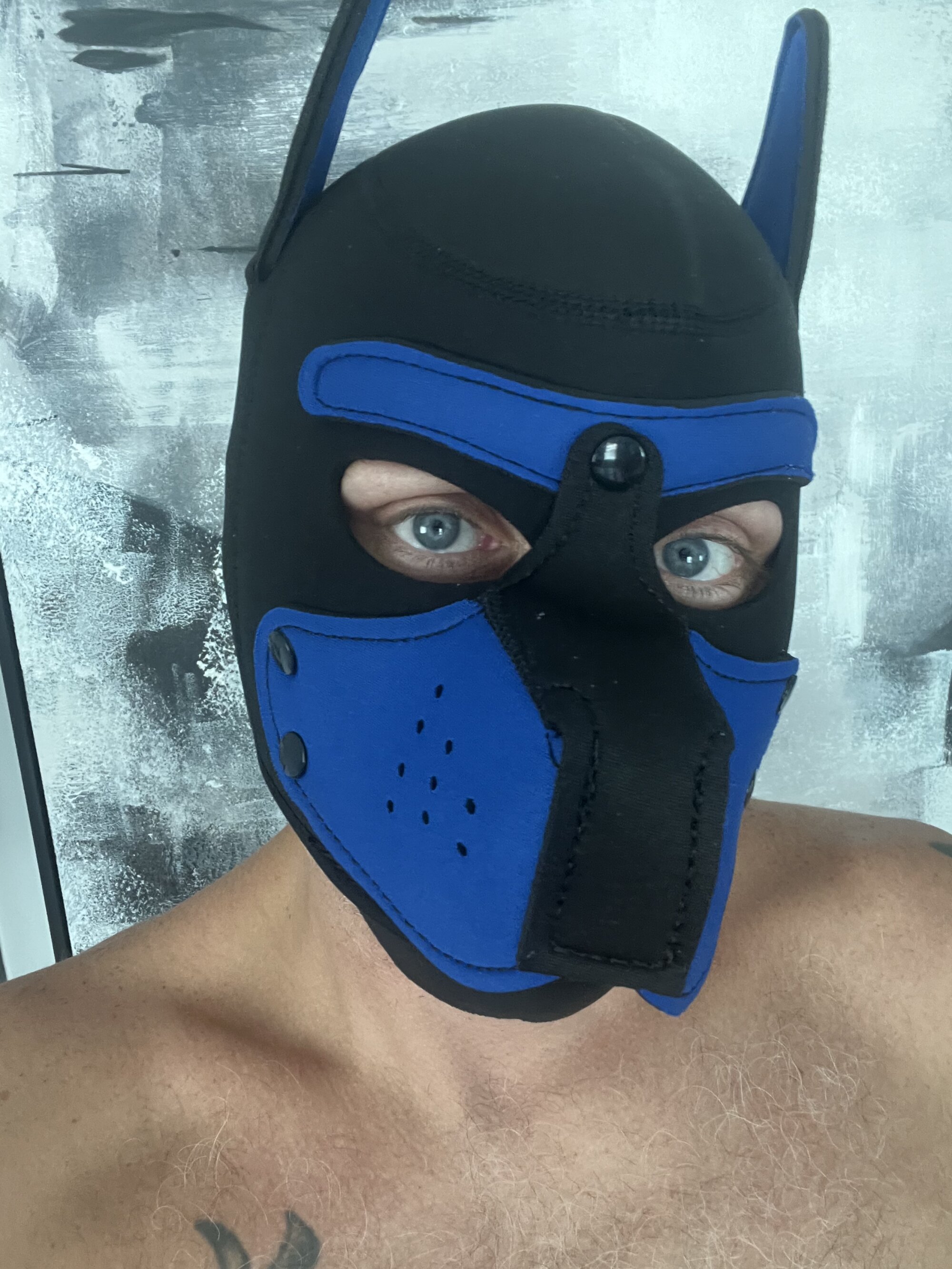 eagerwvpup