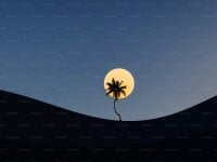 TrickingModern's webcam live show