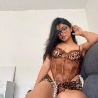 Модель Cat2525