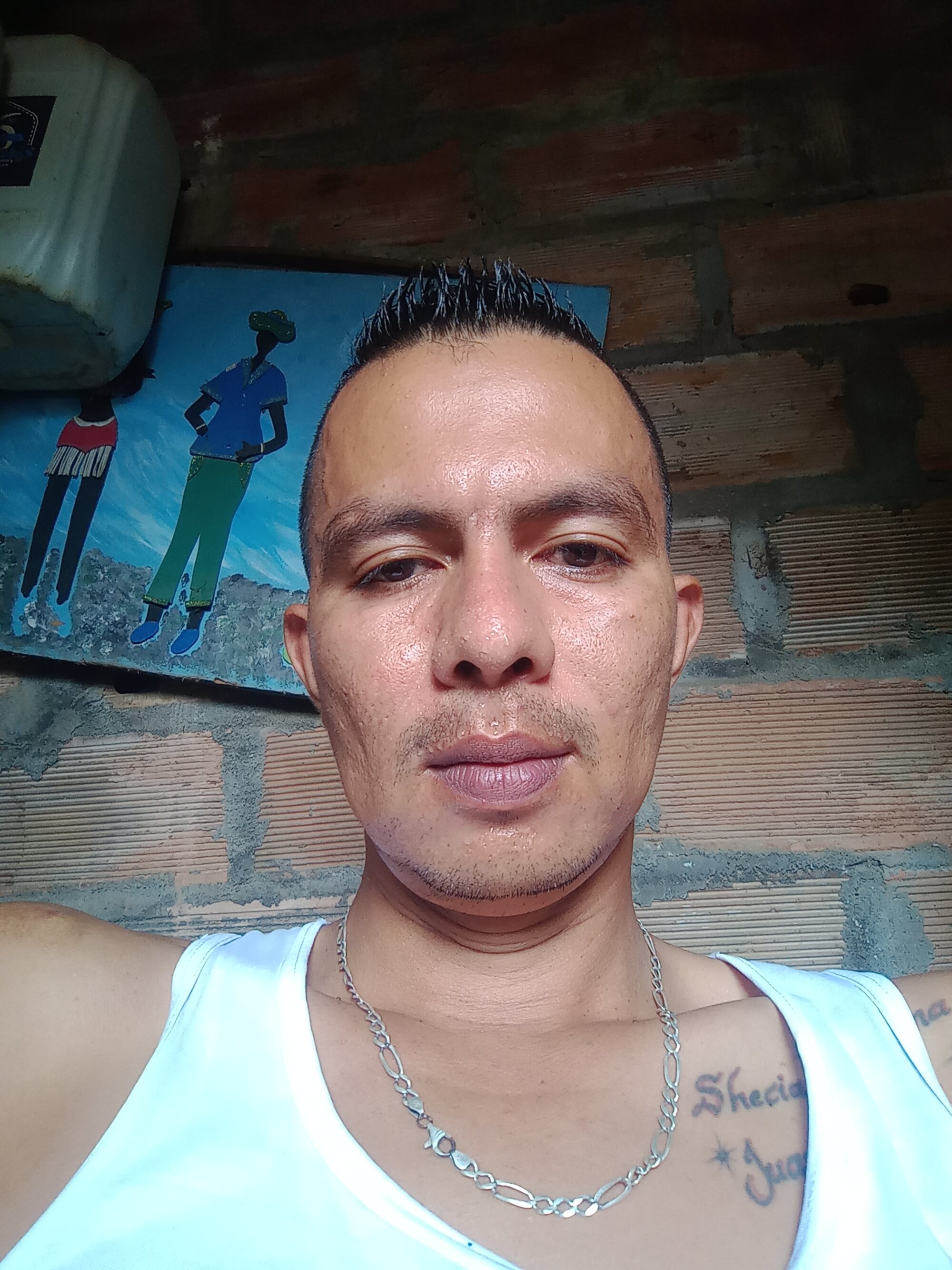 rokymia24