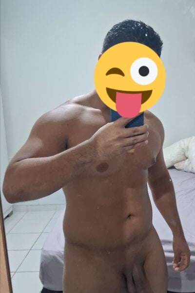 ARTLARU