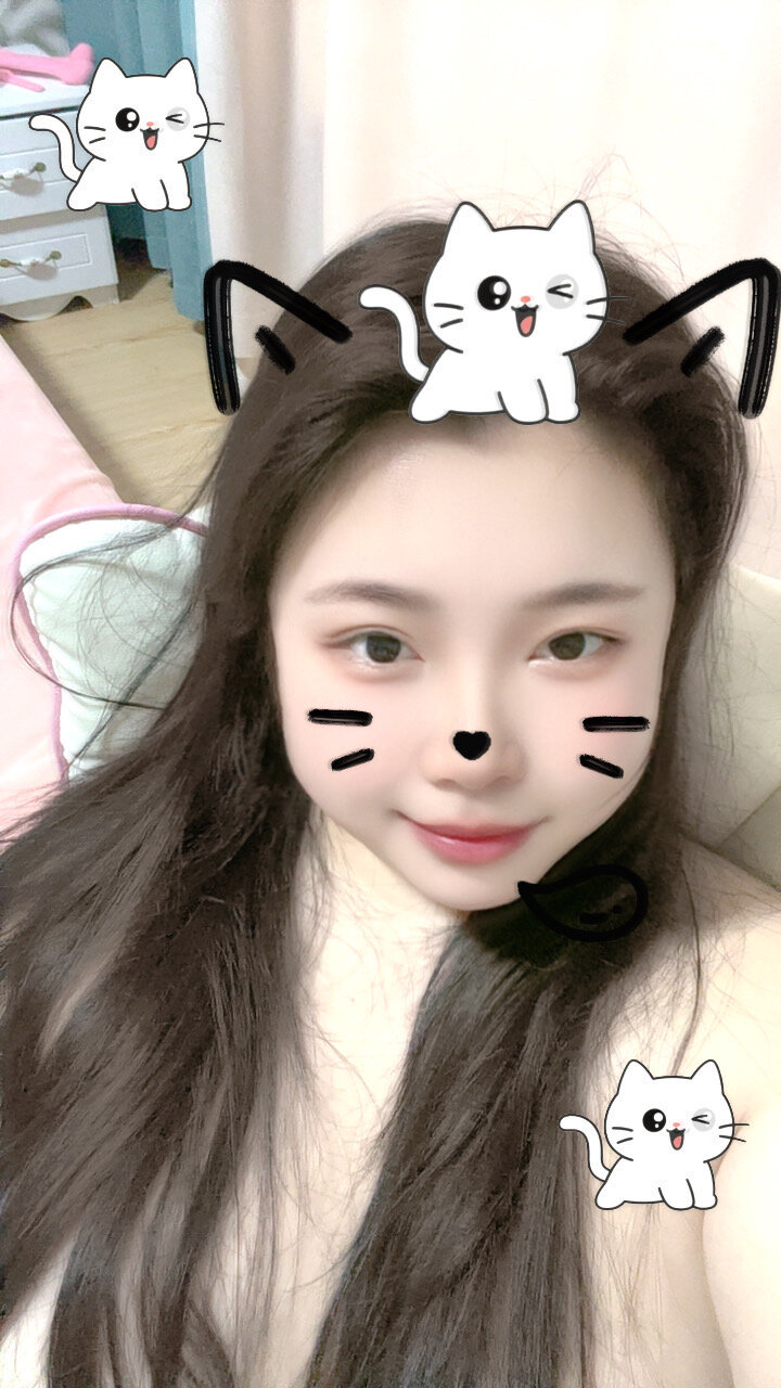 Rabbit-6