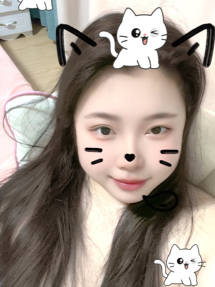 Rabbit-6 profile
