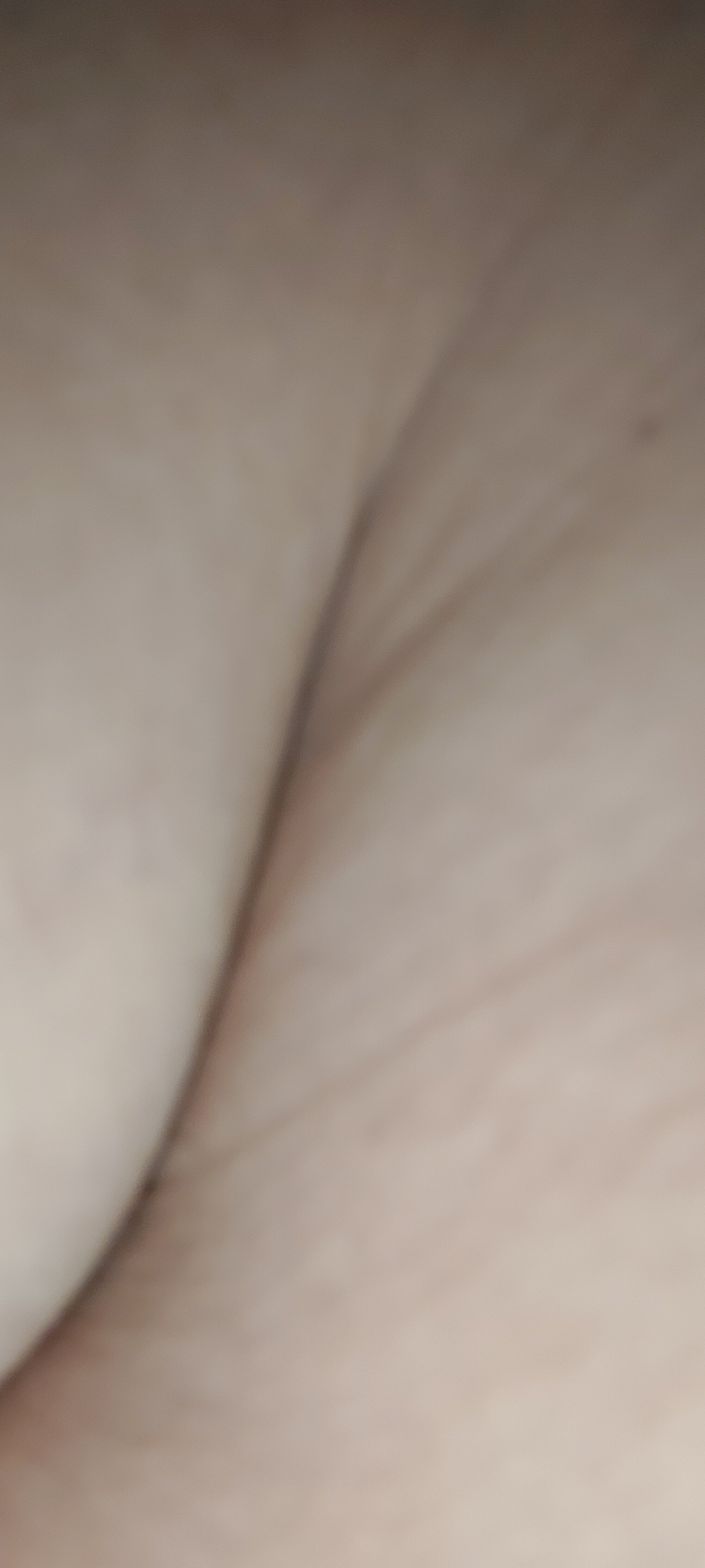 boyturn6