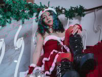 Модель TerumiKitty