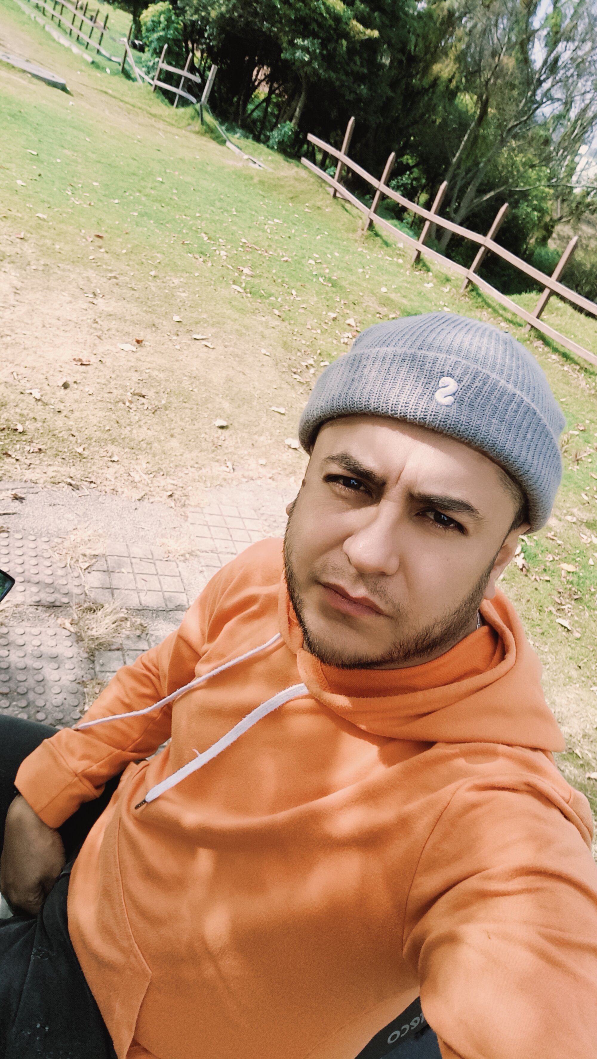 vice_fer