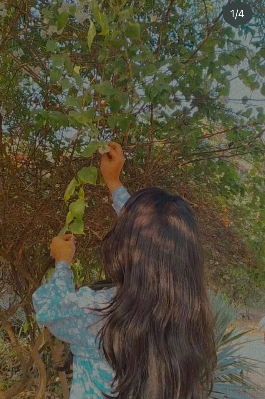 SAXY_NOOR