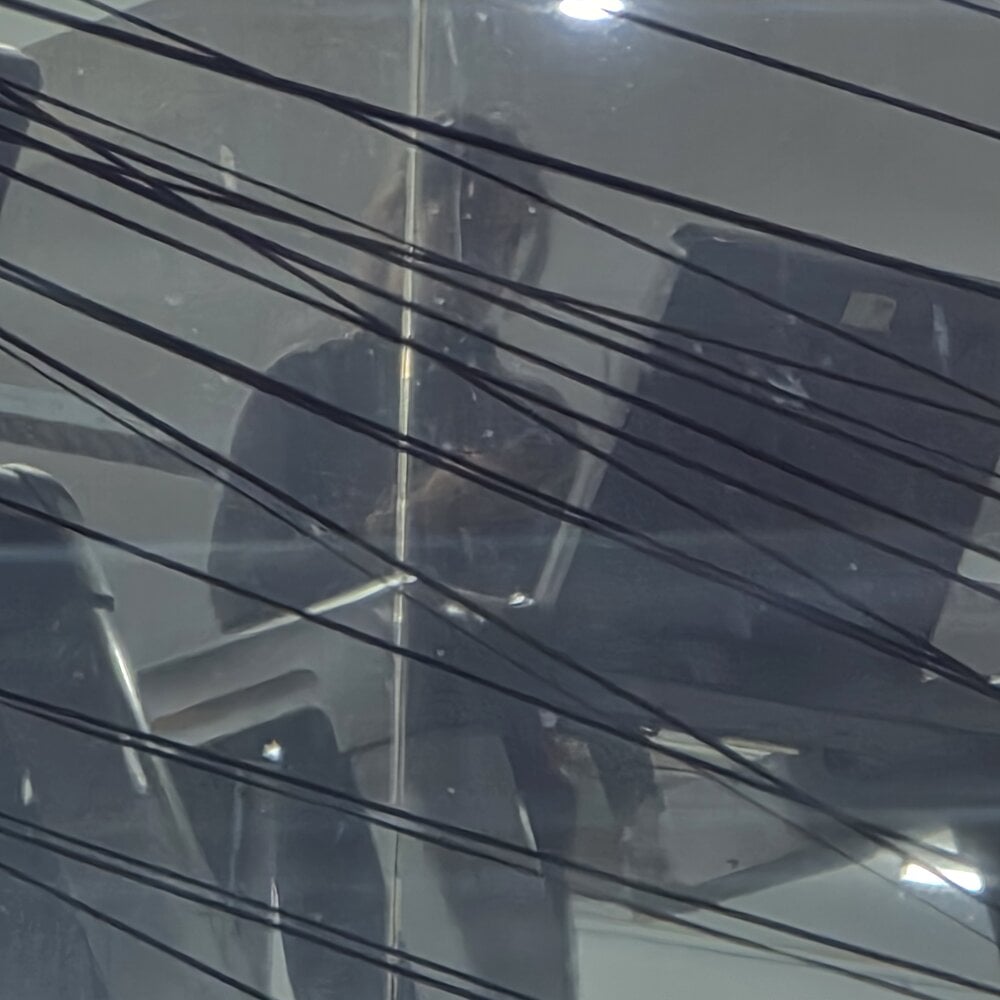 pornos.live tanisha98 livesex profile in granny cams