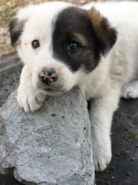 saye0044's webcam live show