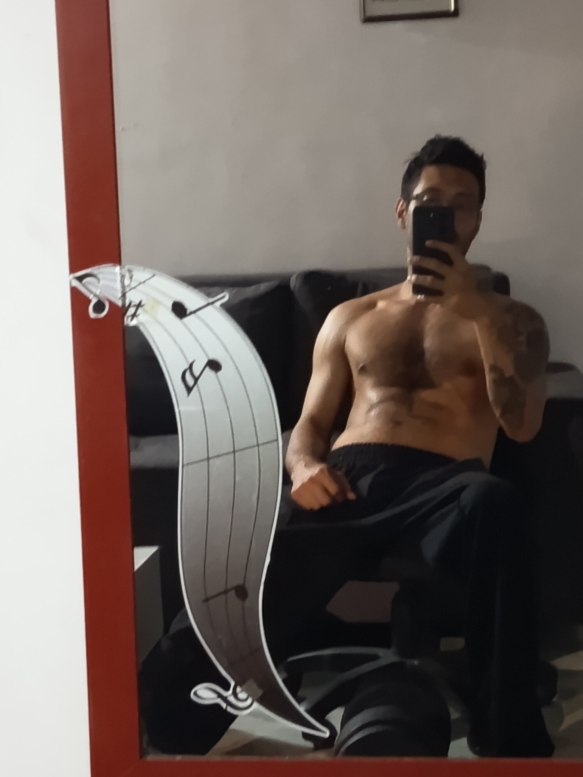 pajaito_xl