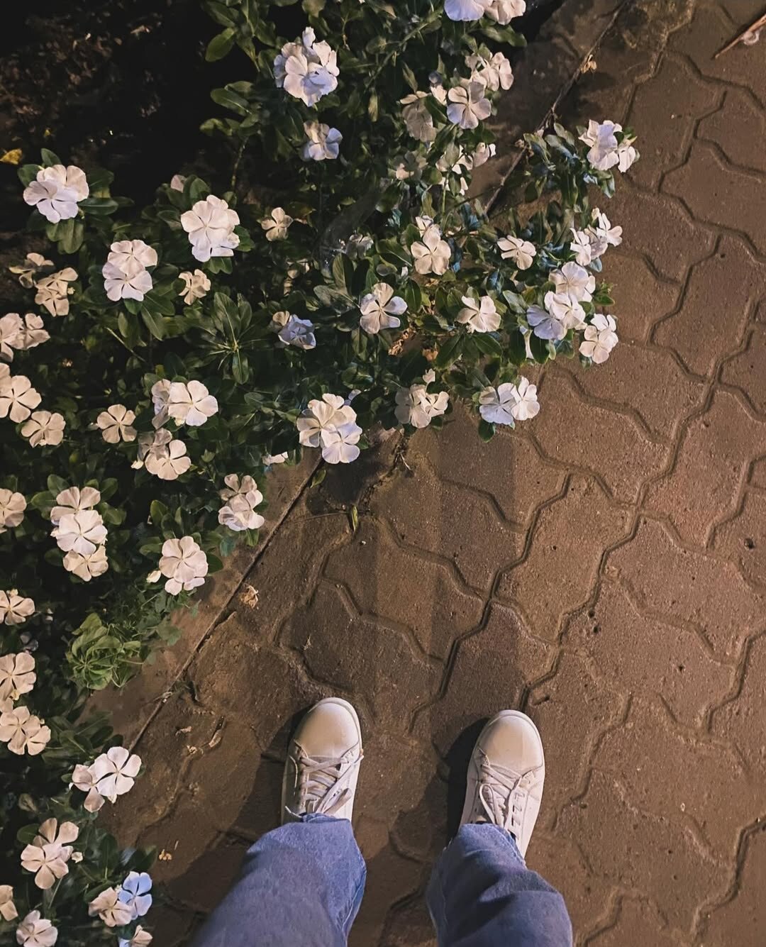 Issac_58