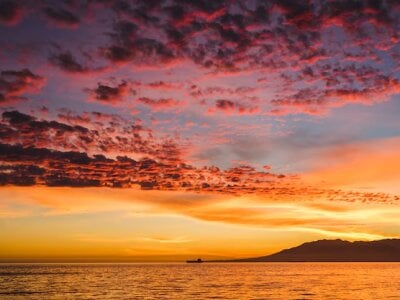 justconnect24 Live Cam on StripChat