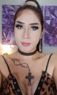 TranDoms Profile