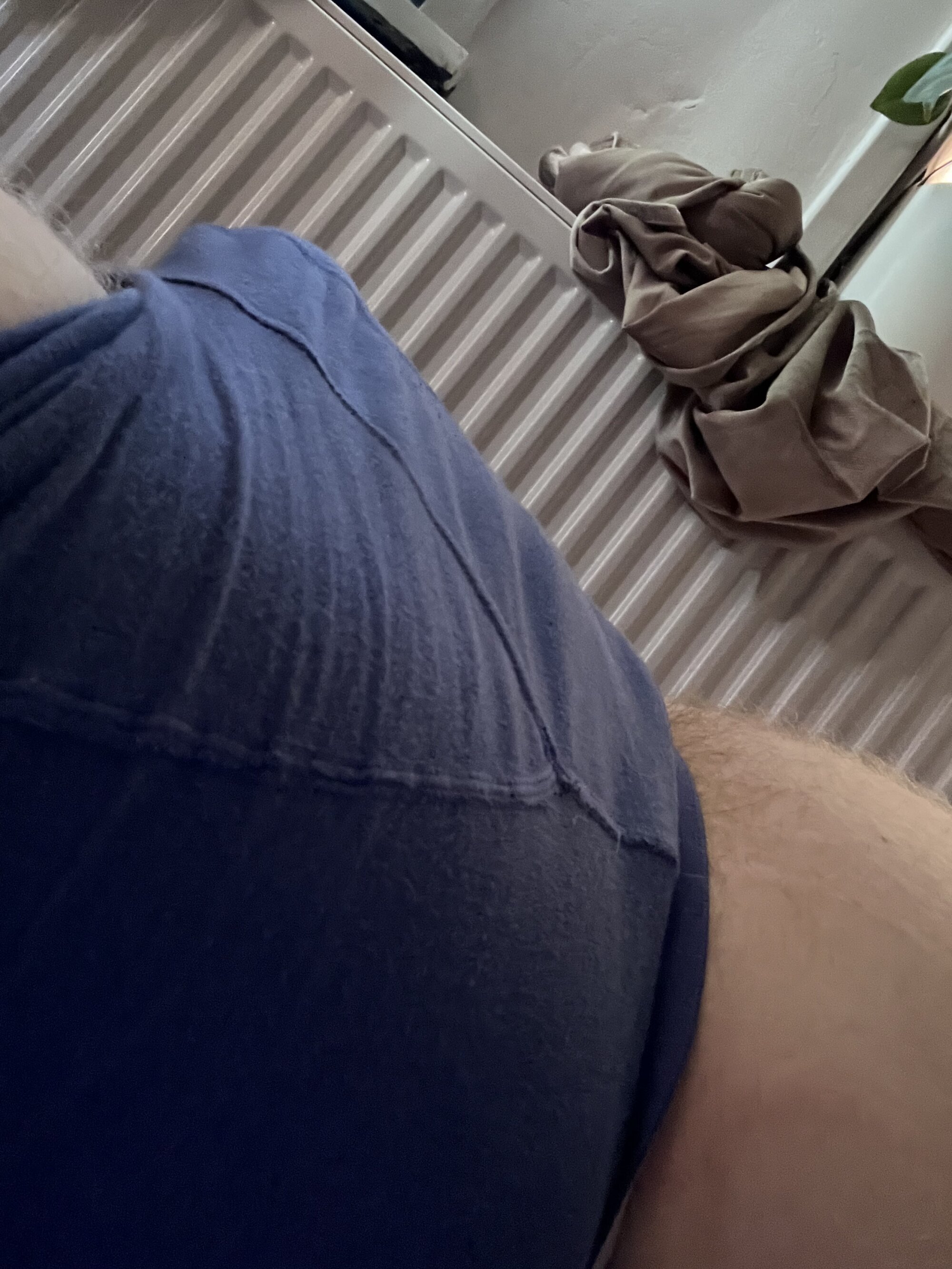 Dutchjakey