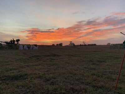 johnnybigdsize Avatar