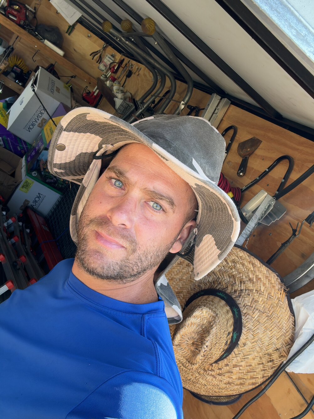 Loquitolol's most recent online preview