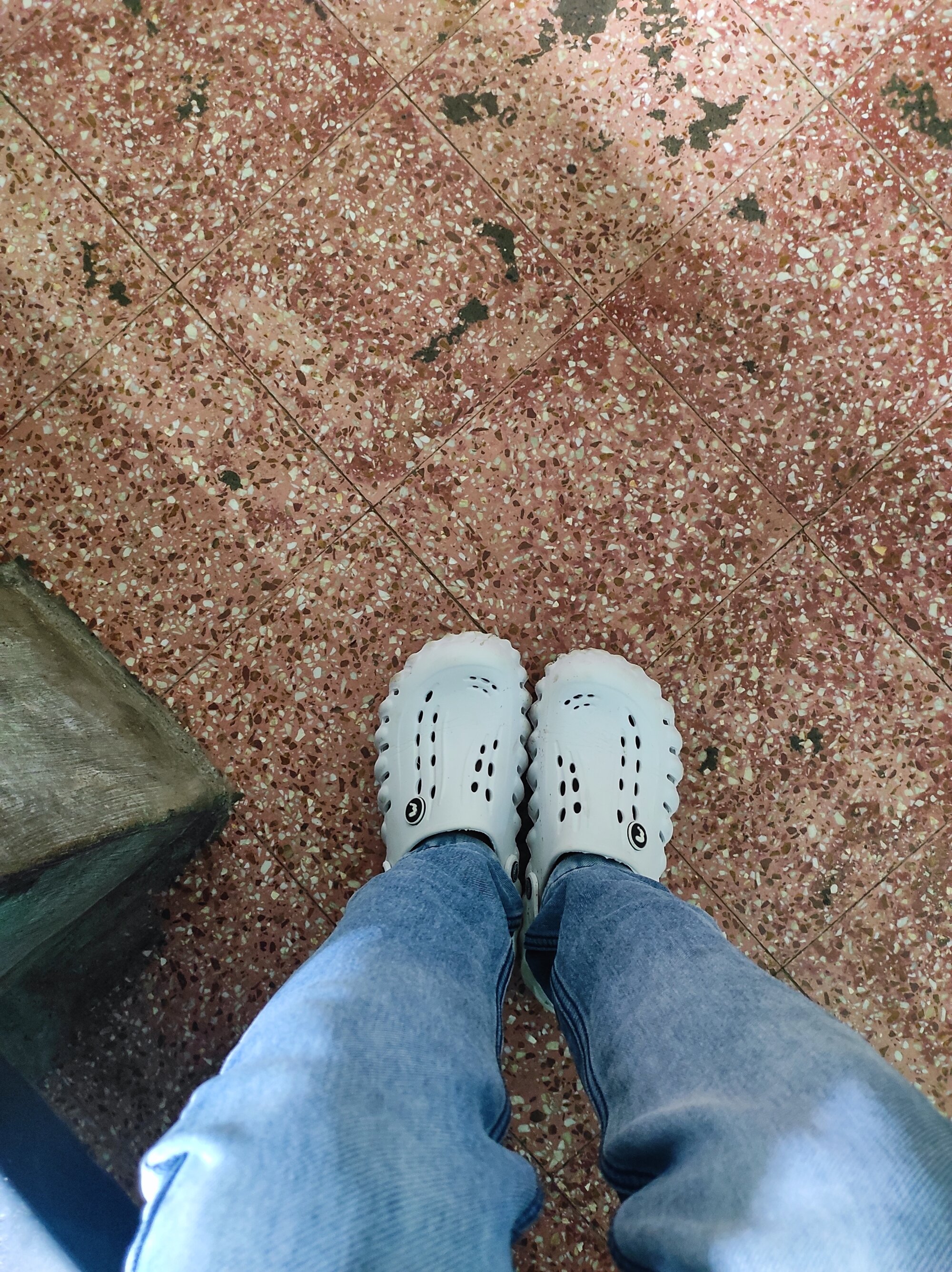 Hausa_44 live webcam