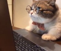 quiet_angel's Offline Chat Room