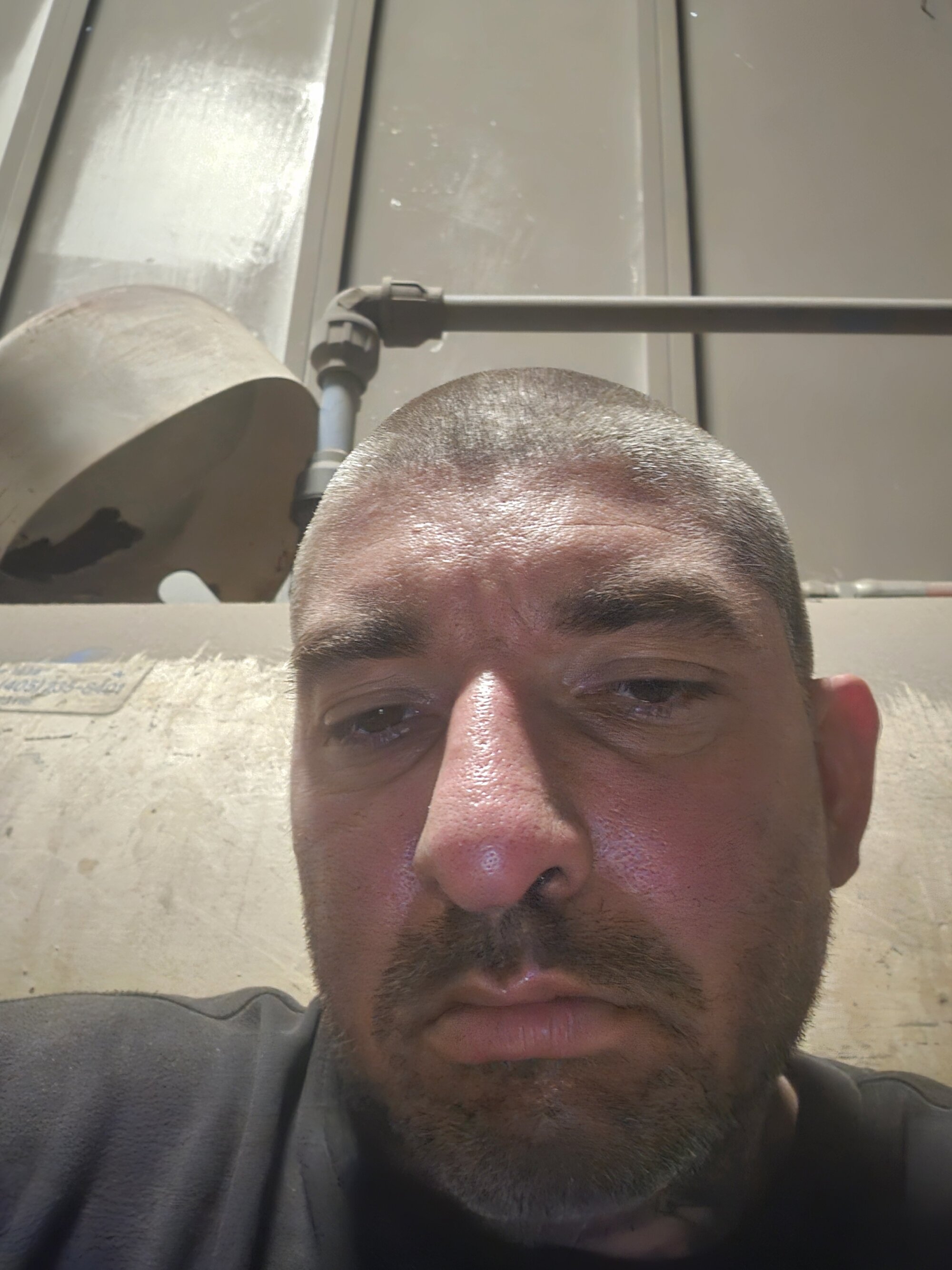 sirbust