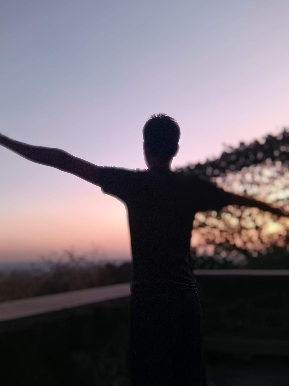 stallion_theboy22