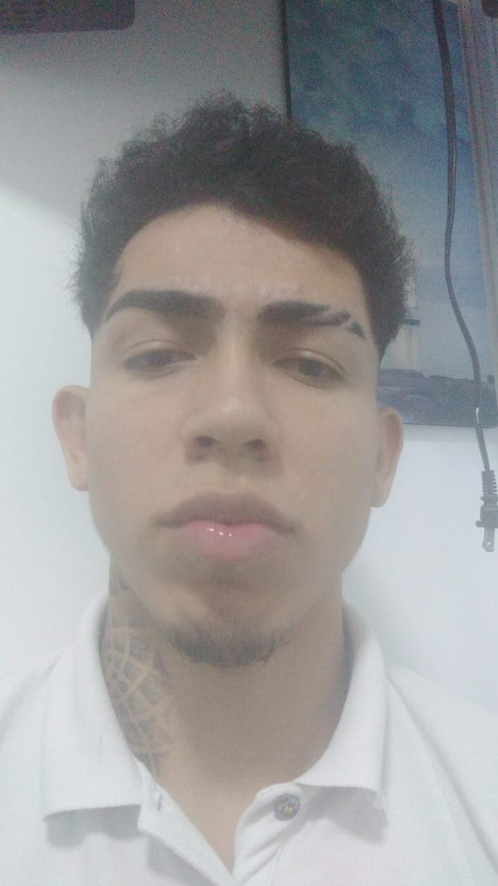 Leonardo_Stone