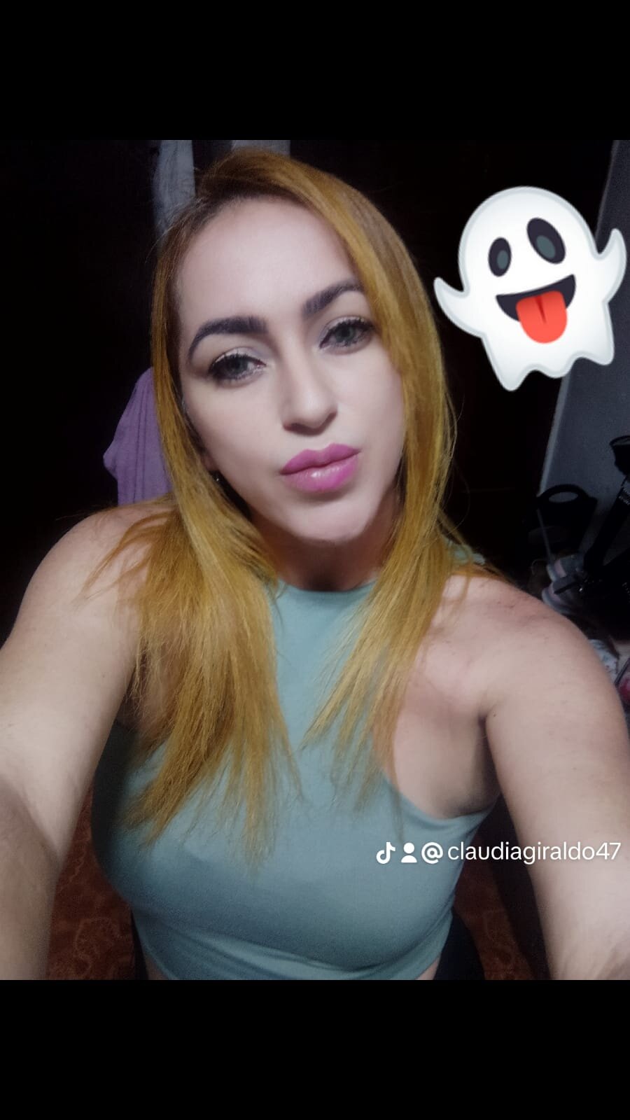 mile_cams_