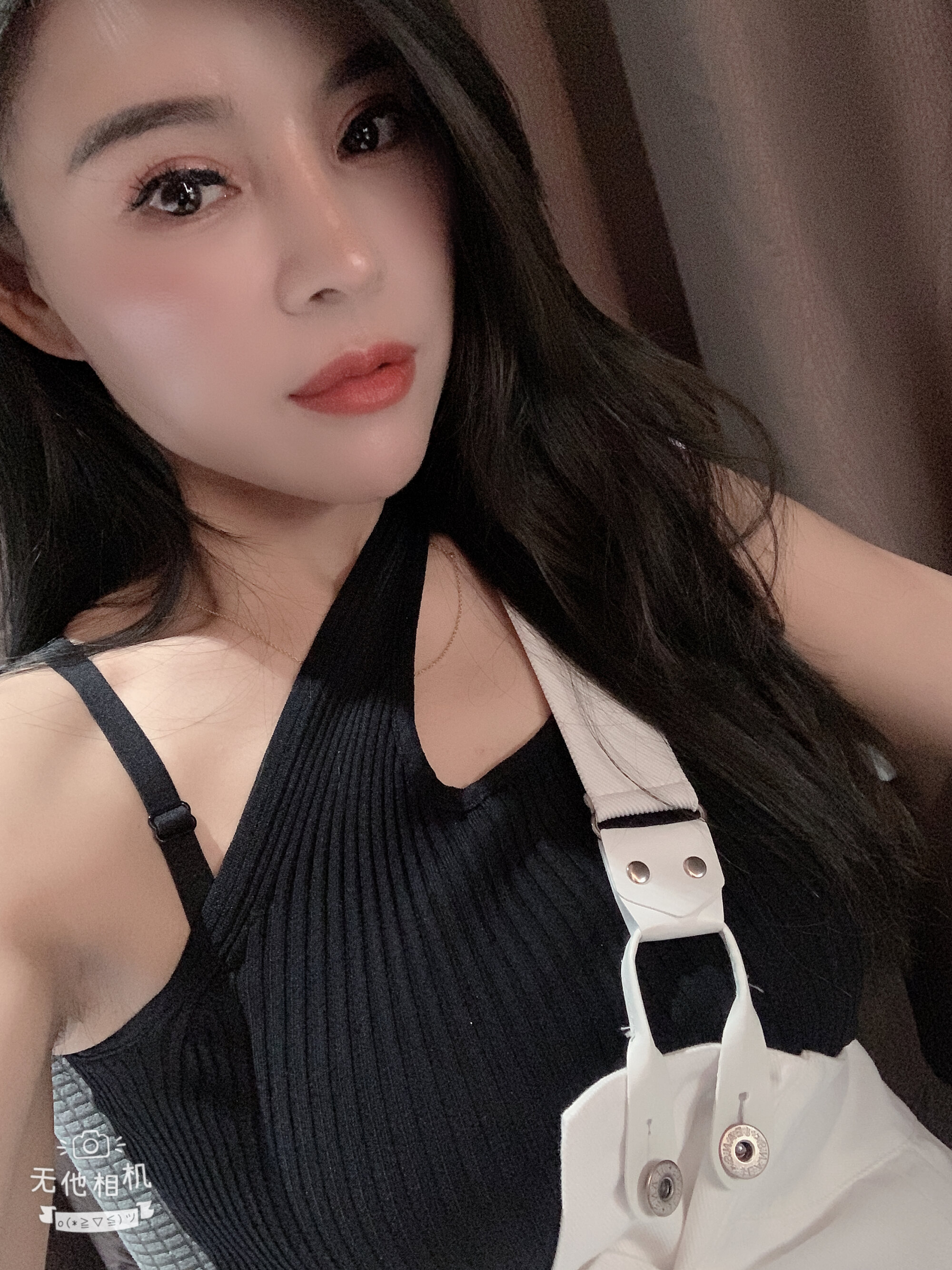 ZHU-ZHU-38F