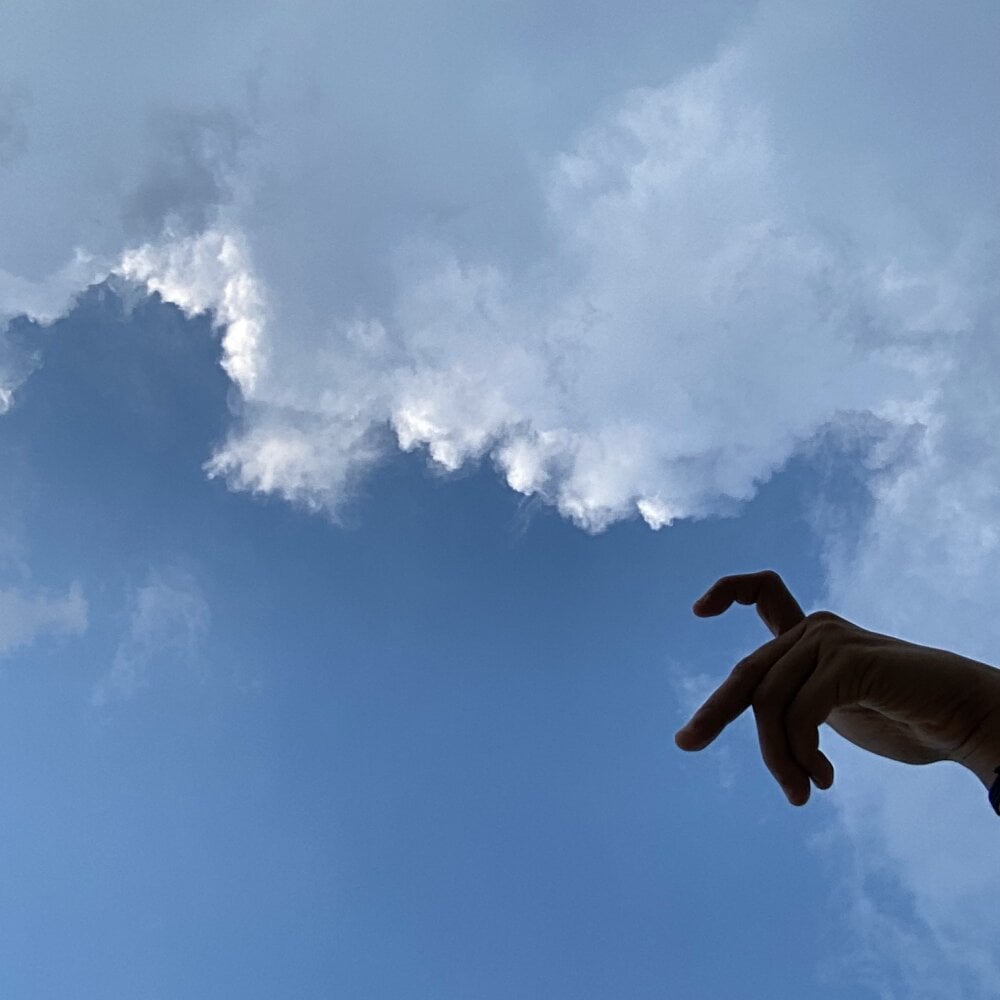 myliveeroticcams.com queenofcurvesx livesex profile in surrounded-by-cats cams