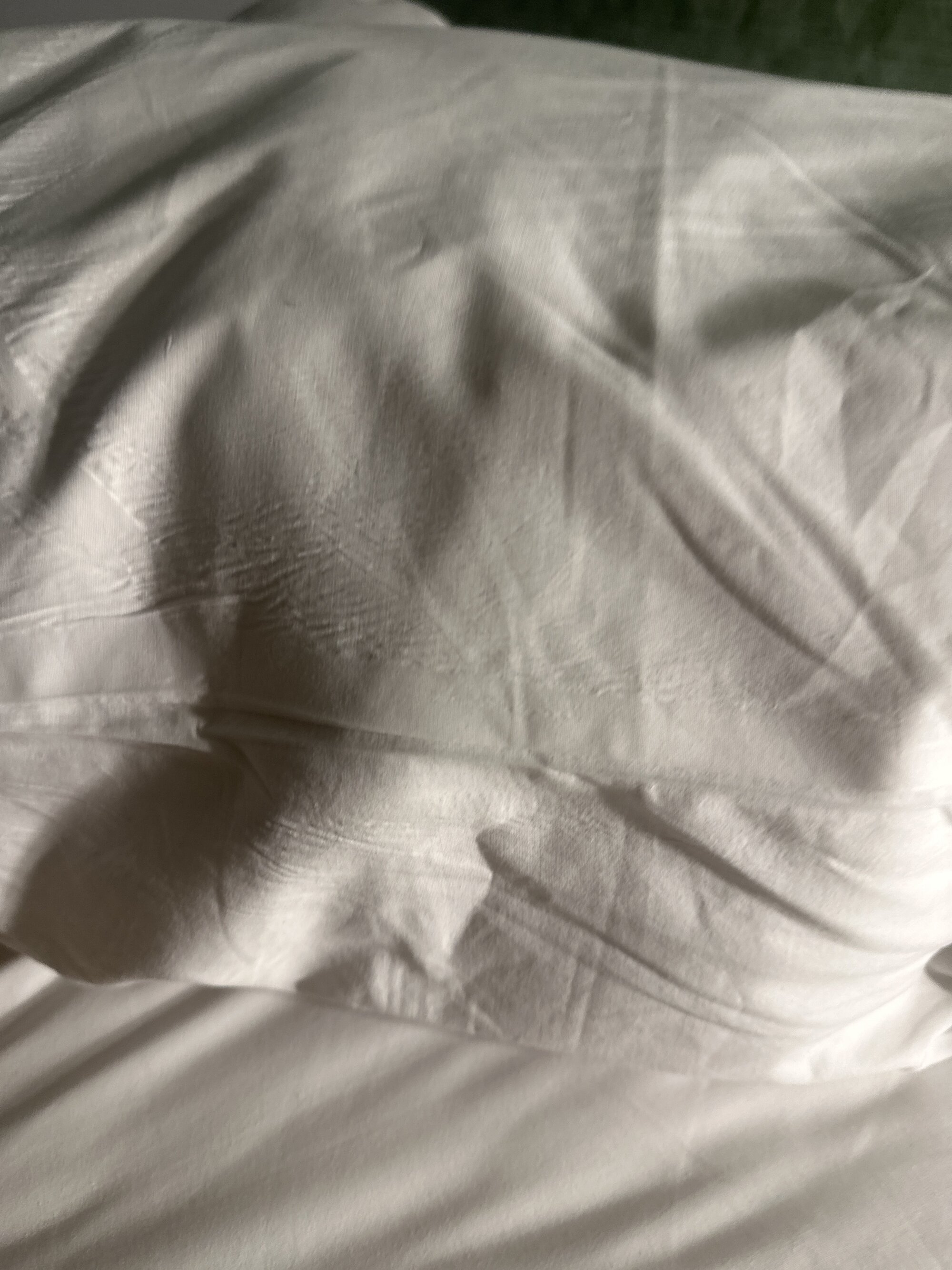 Themonsterdick77 live webcam