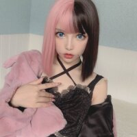qa_validate_kyc_model's Offline XXX Chat