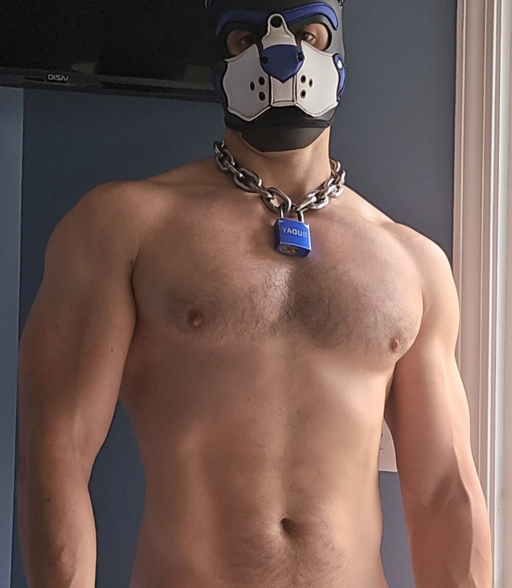 Puppy_FistingToysPlayer profile