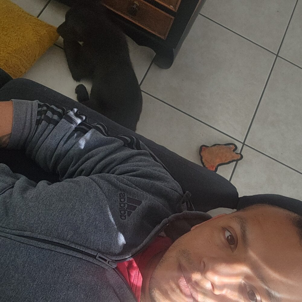 gtoyboy profile