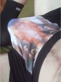 NochnoyGest's webcam live show