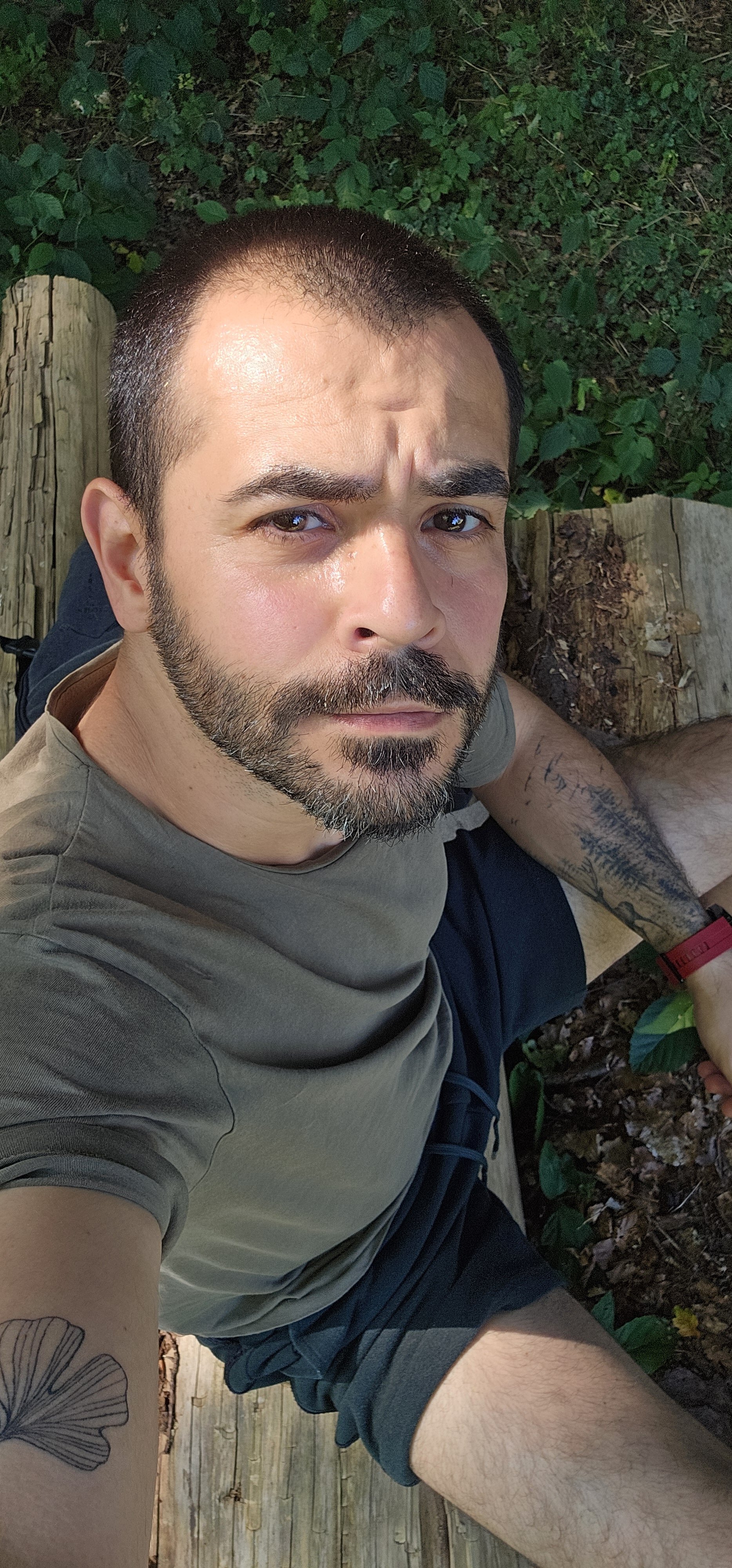 Halimde