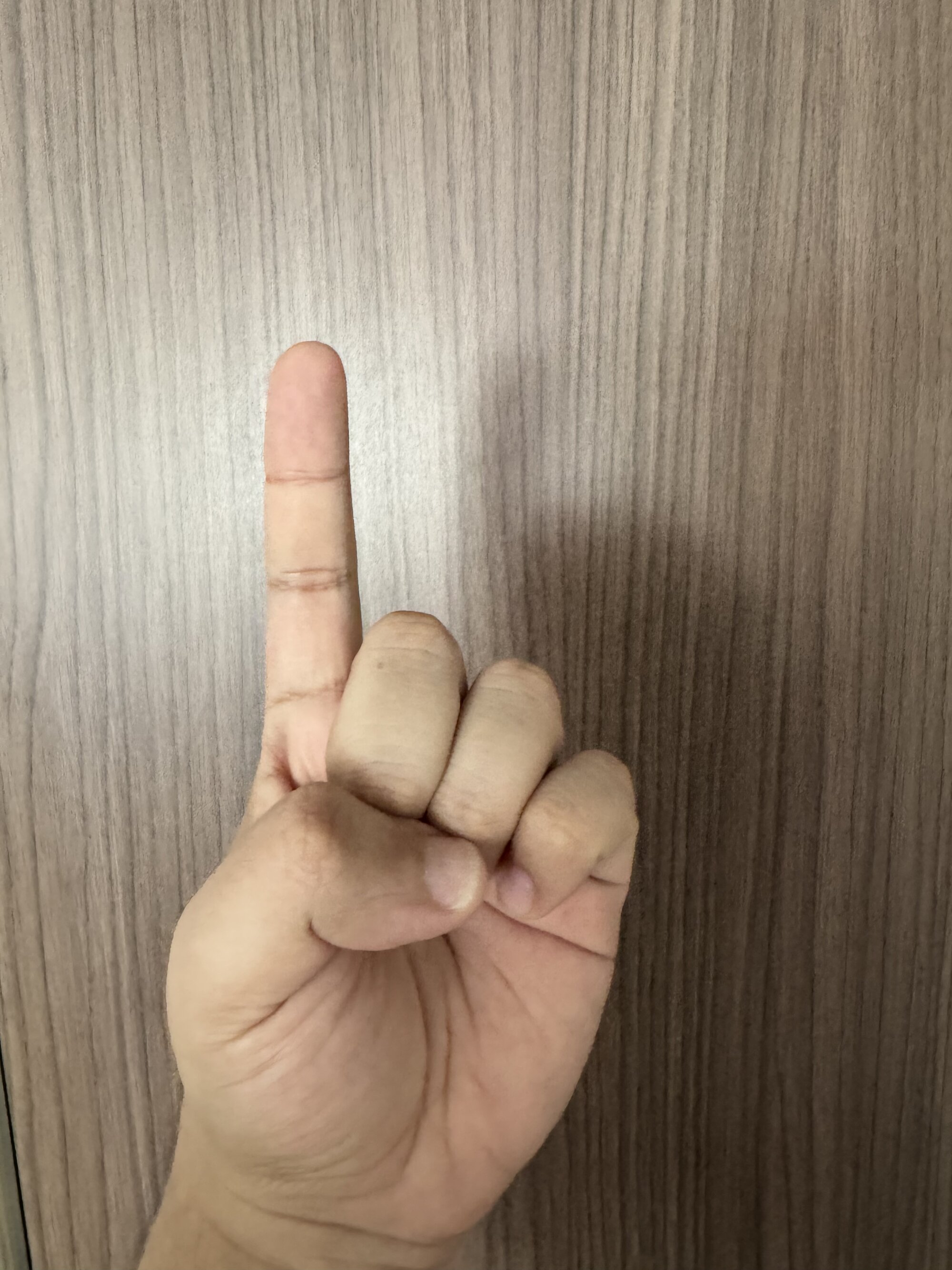 Ahn_1