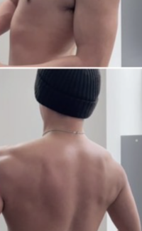 Profile