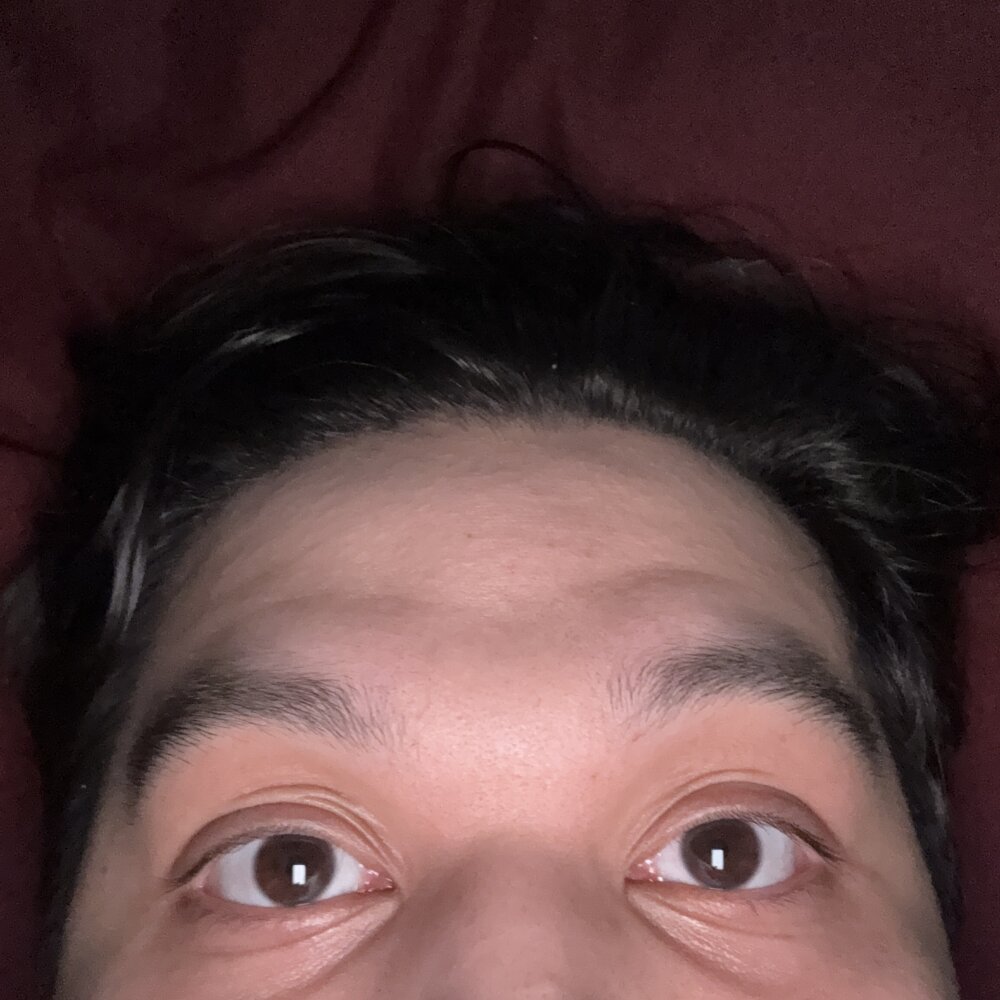 53234's Offline XXX Chat