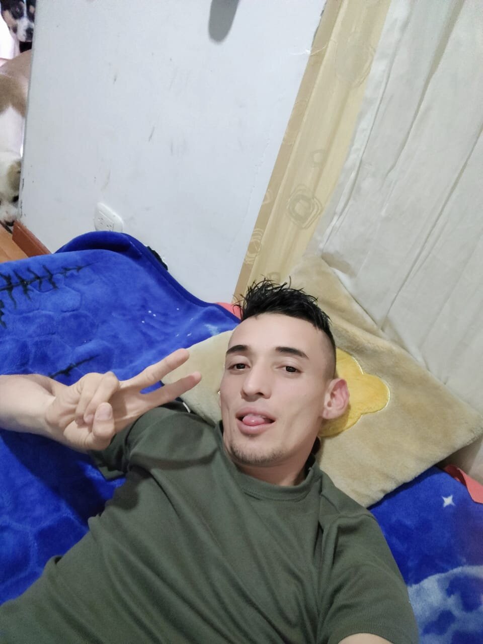 mistersilver_vc