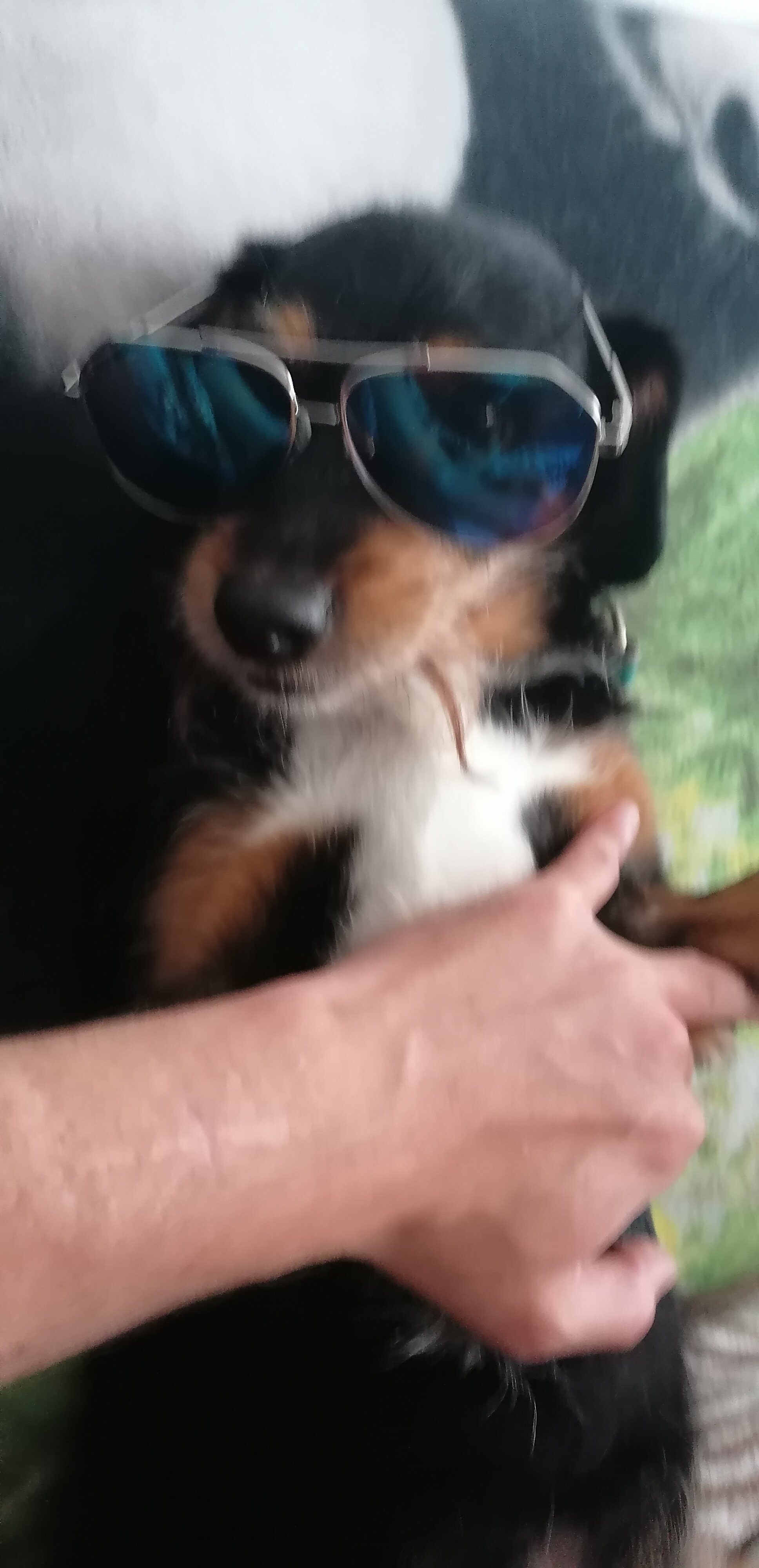 oliver2384 live webcam