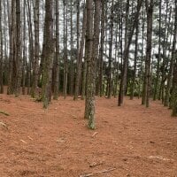 ELPAJALOKA offline chatrum
