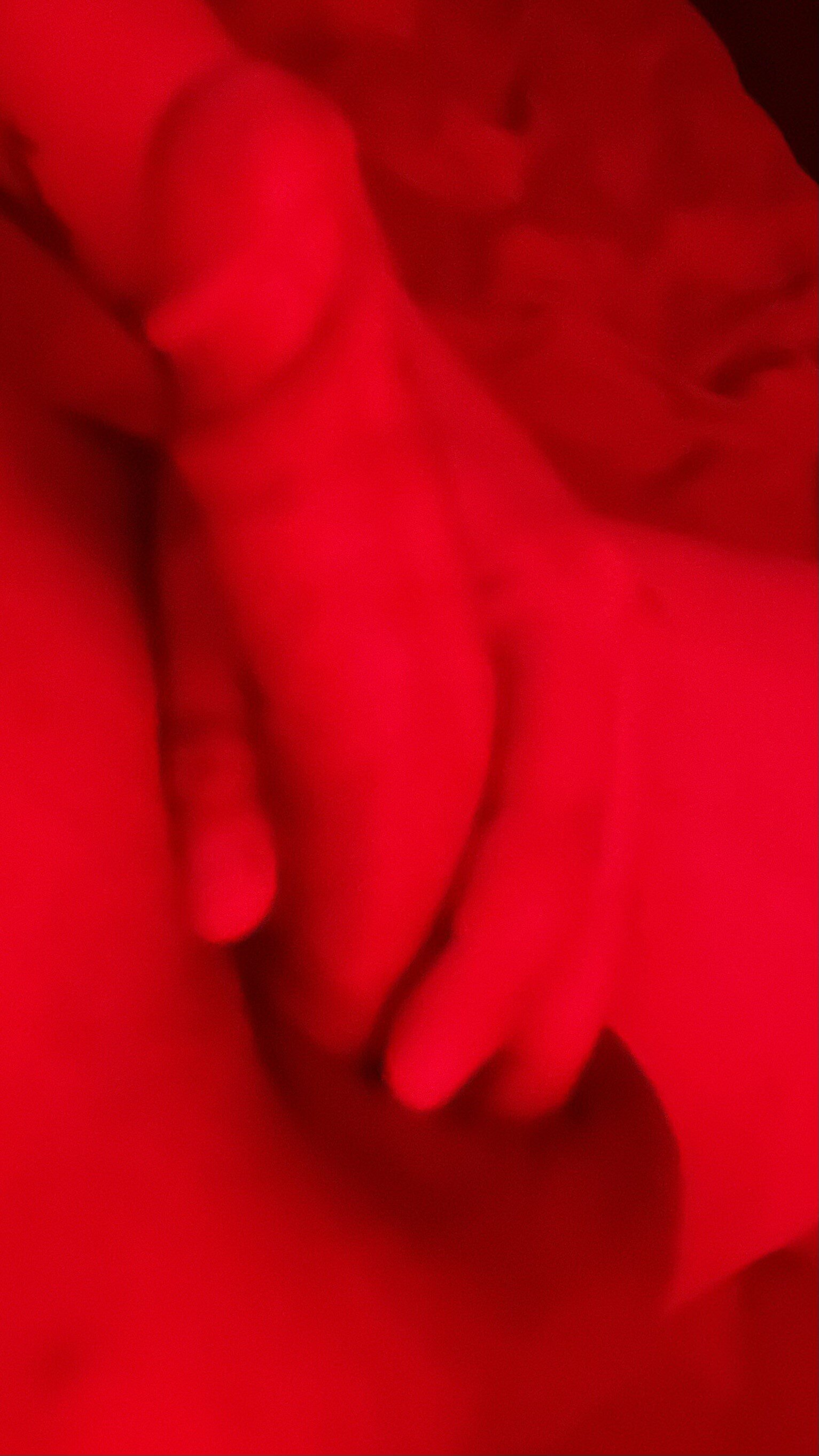 GaboCPN