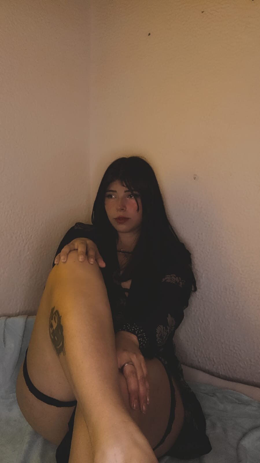 leidyramca