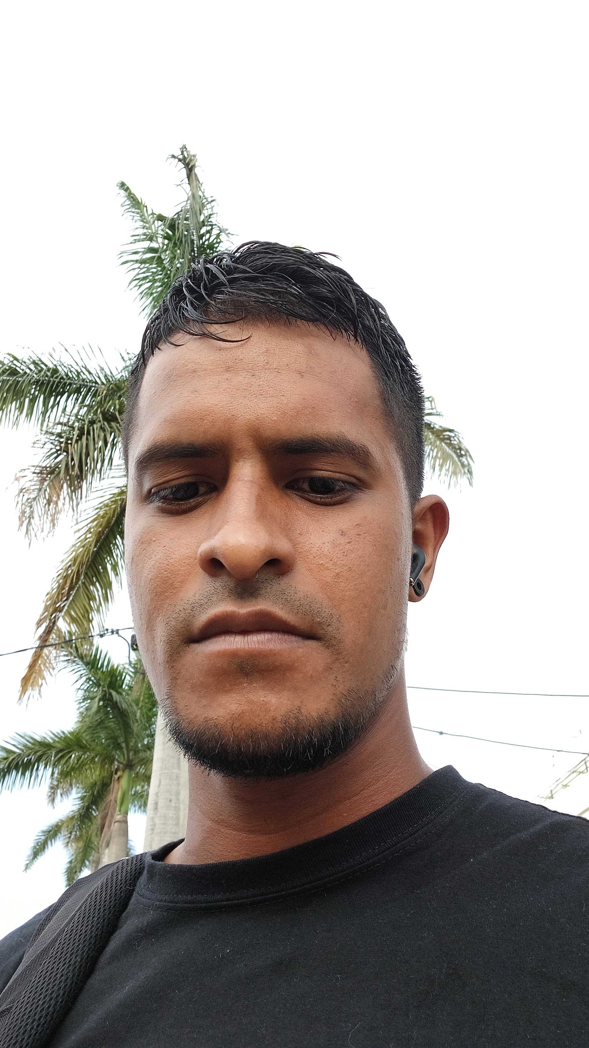 lomejordelnegro