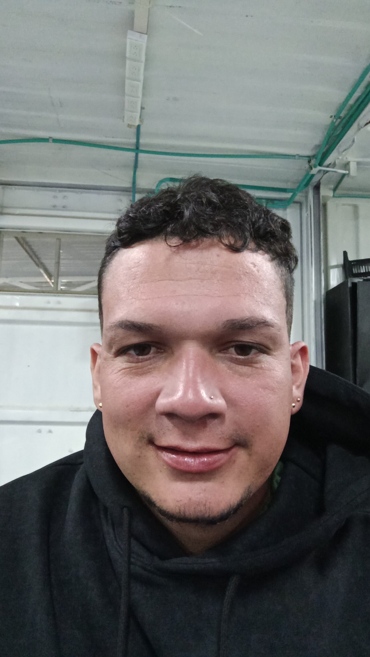 diinofox