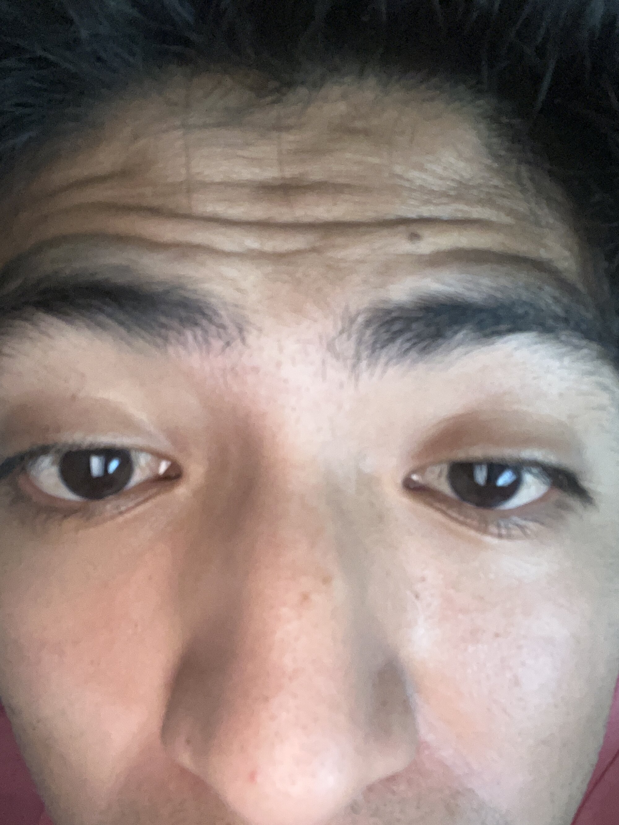 jossbernal2